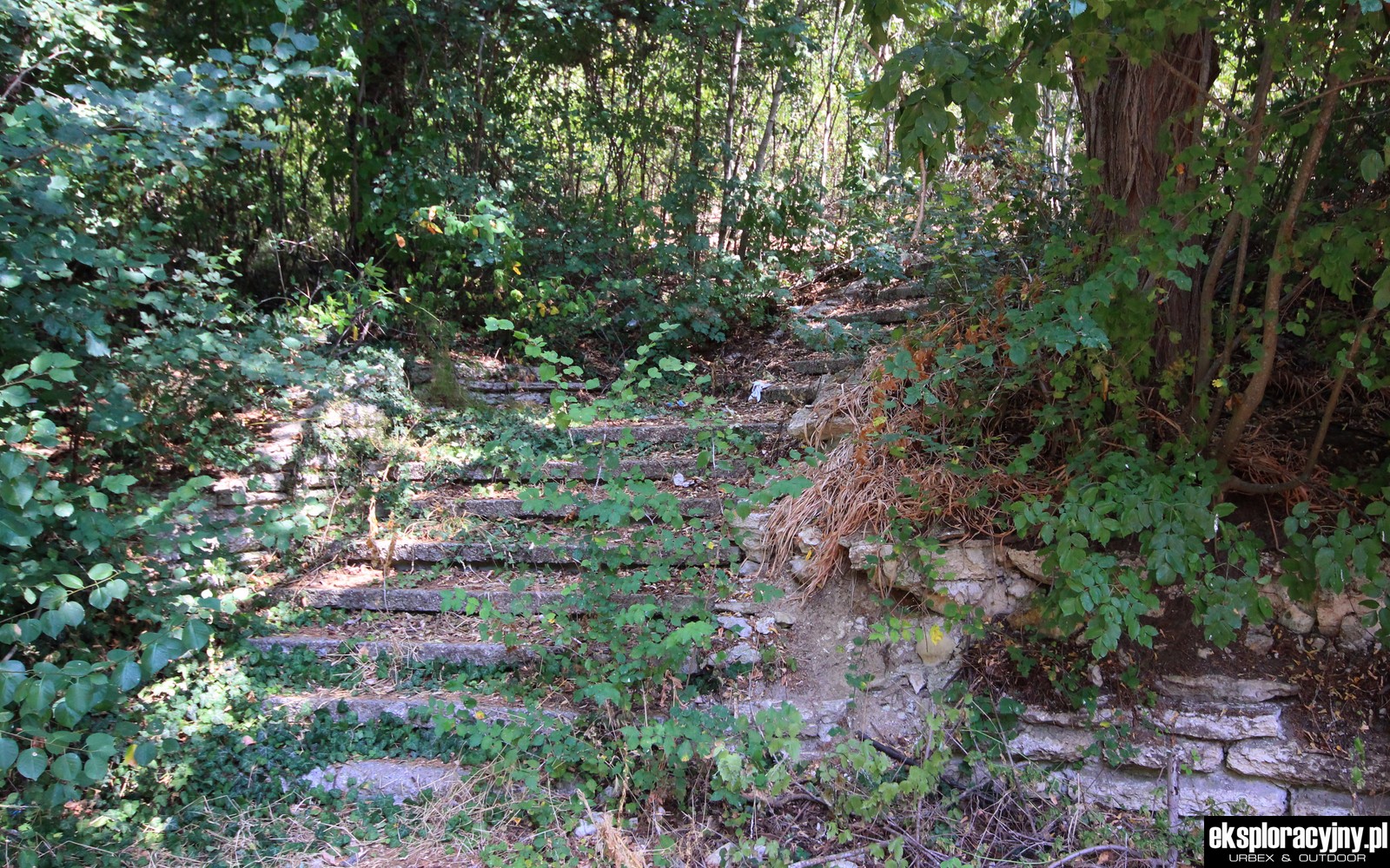 Ścieżka w nieznane