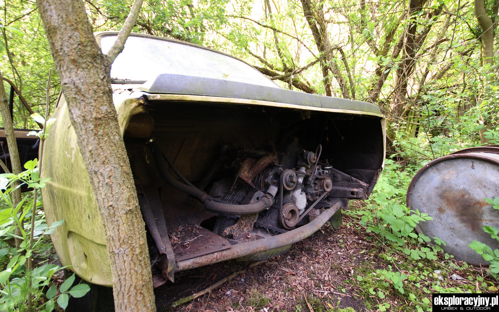 Piękna Czeszka w agonalnym stanie