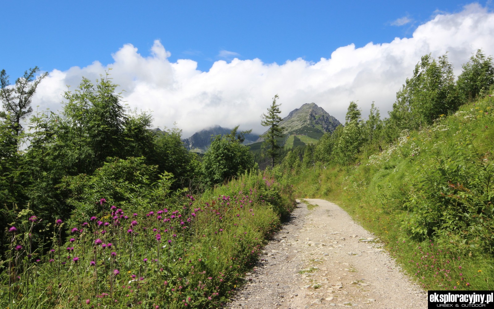 Malownicza ścieżka do intrygującej posiadłości