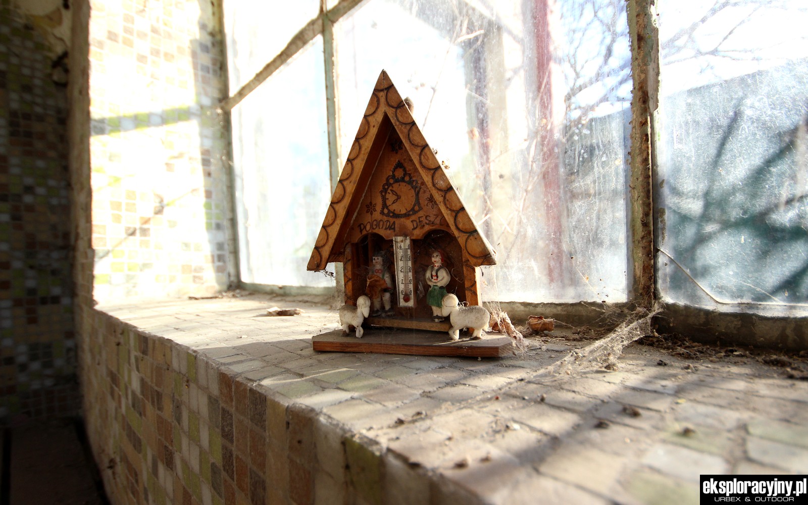 Domek przewidujący pogodę