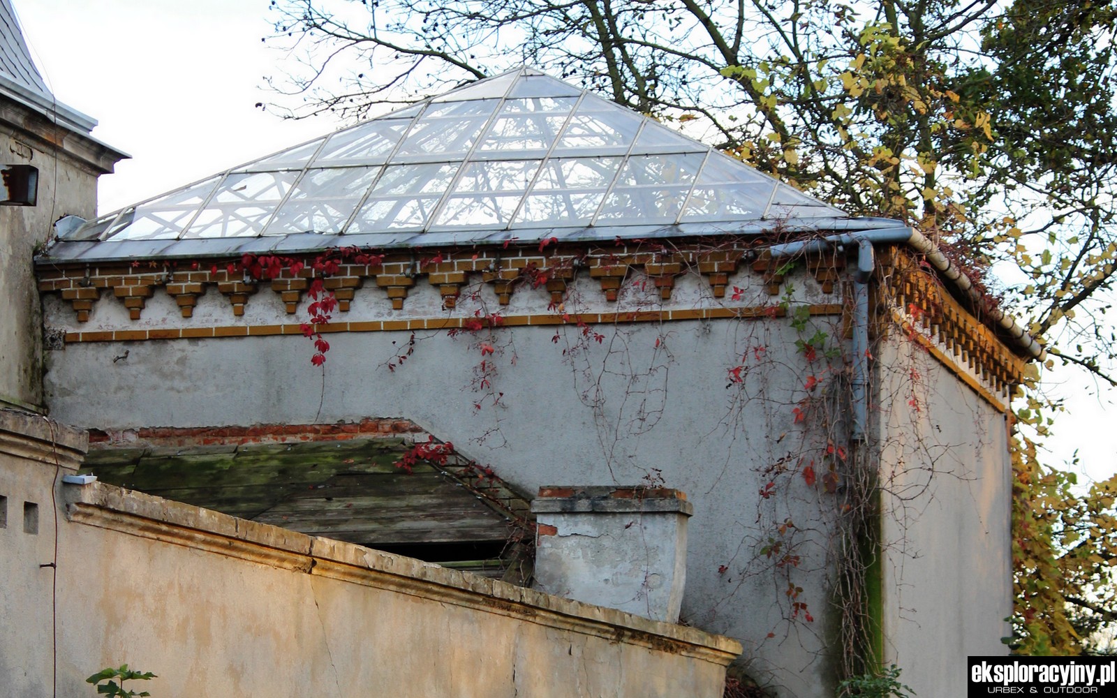 Dach oranżerii