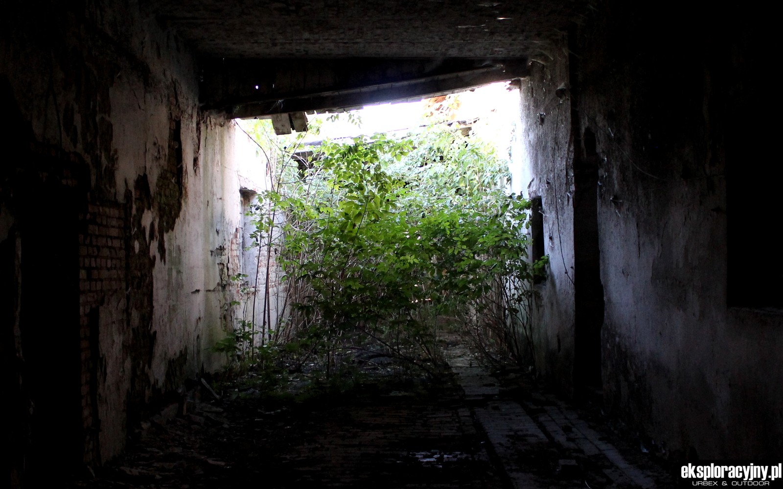 Przejazd gospodarczy