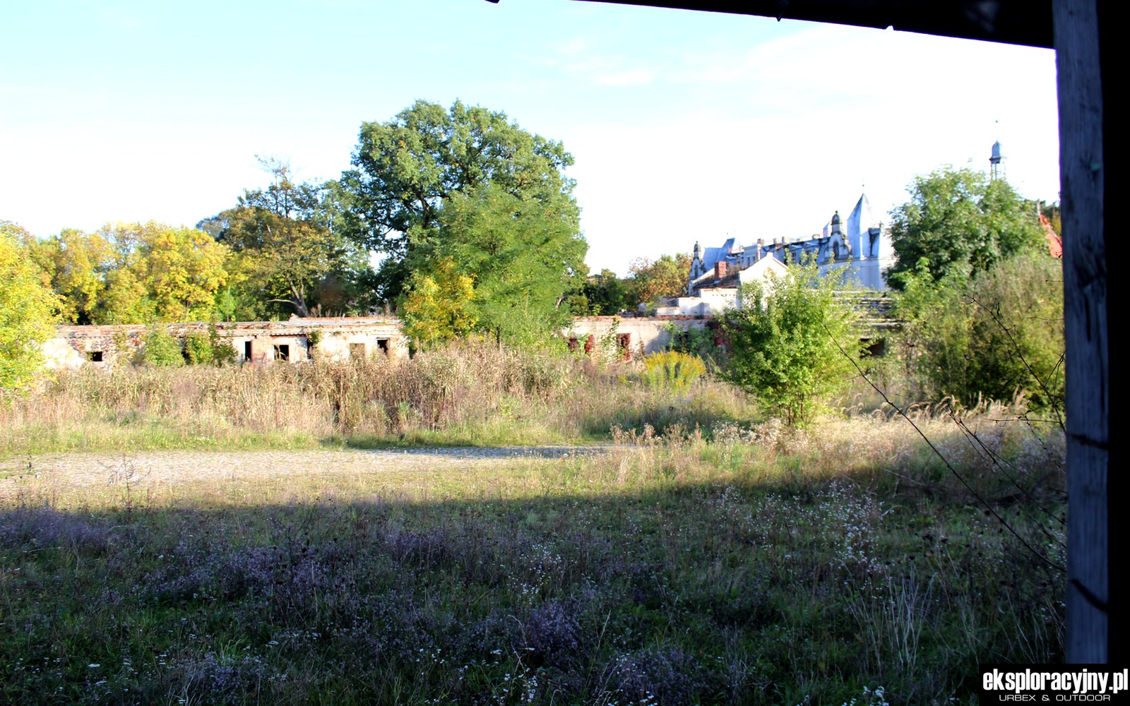 Wyjście na dziedziniec