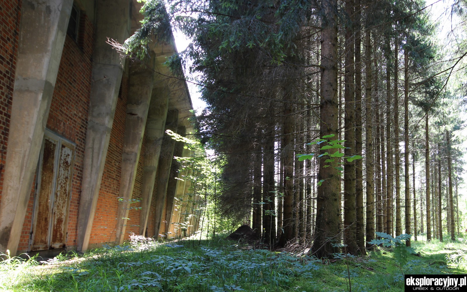 Roślinność na terenie strefy
