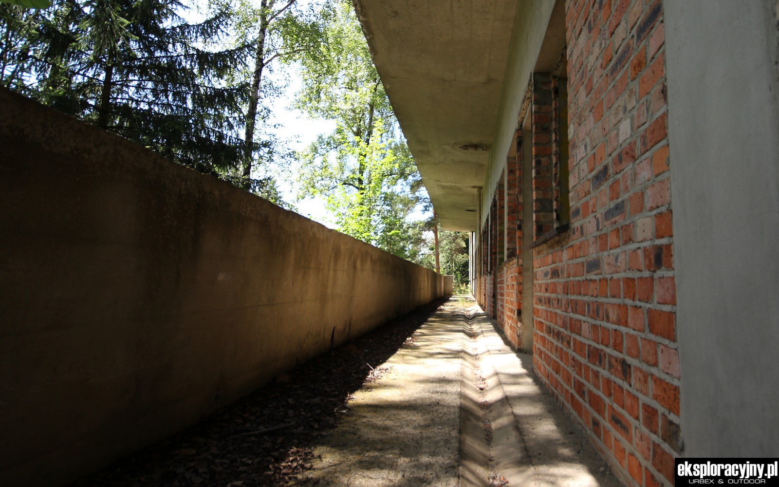 Balkon z widokiem na dżunglę
