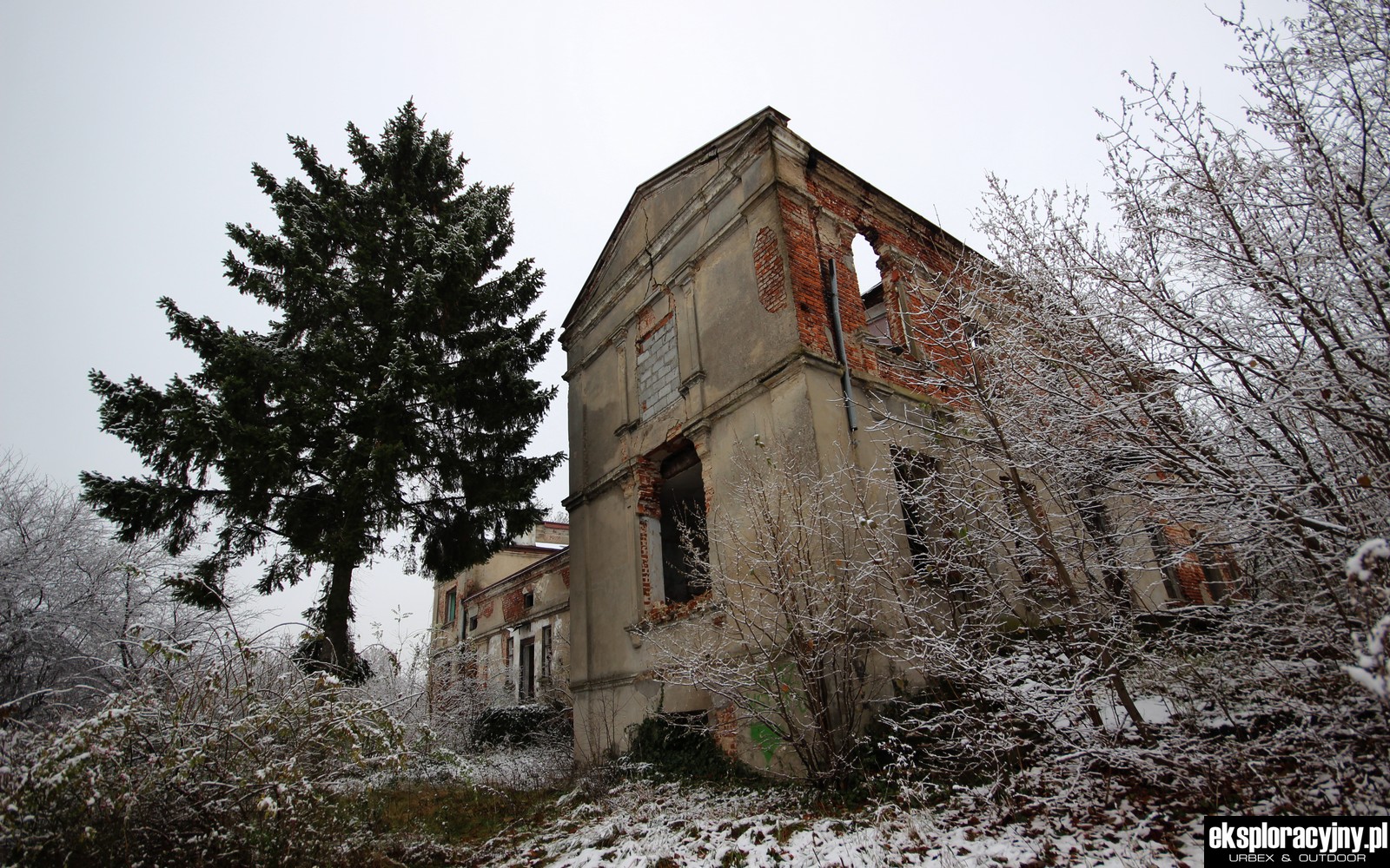 Read more about the article Opuszczony i zrujnowany dworek – łódzkie, Polska